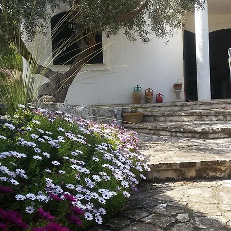 Villa Azzurra - Casa Vacanze Corsano  Exterior photo
