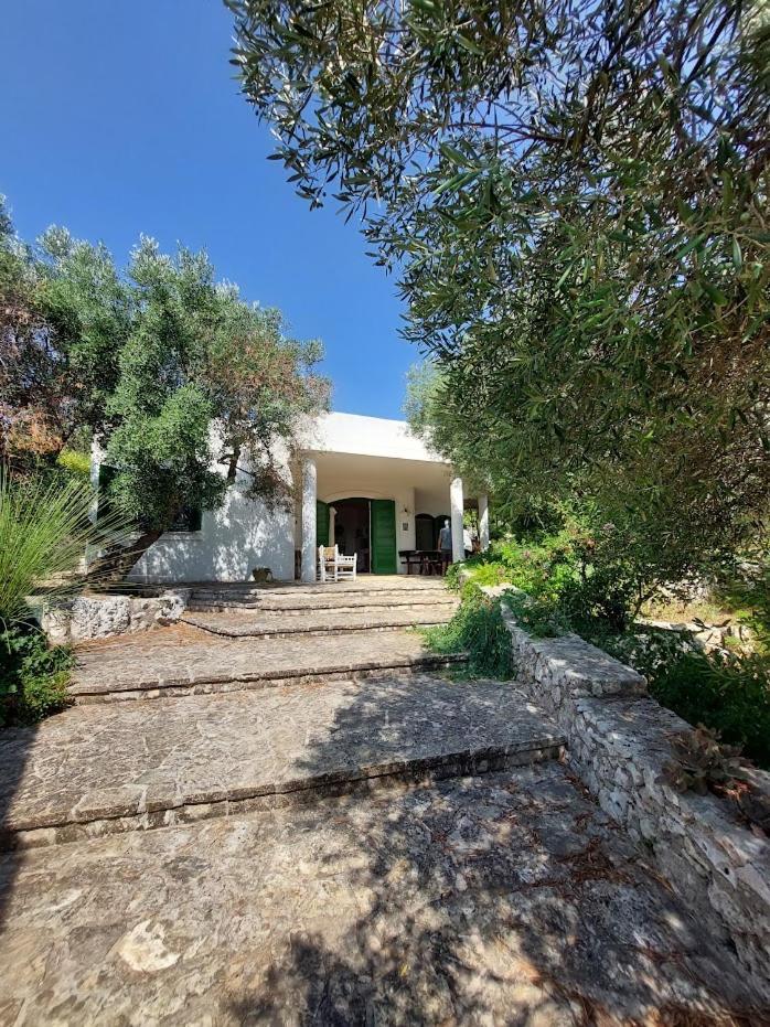 Azzurra Corsano (Apulia)