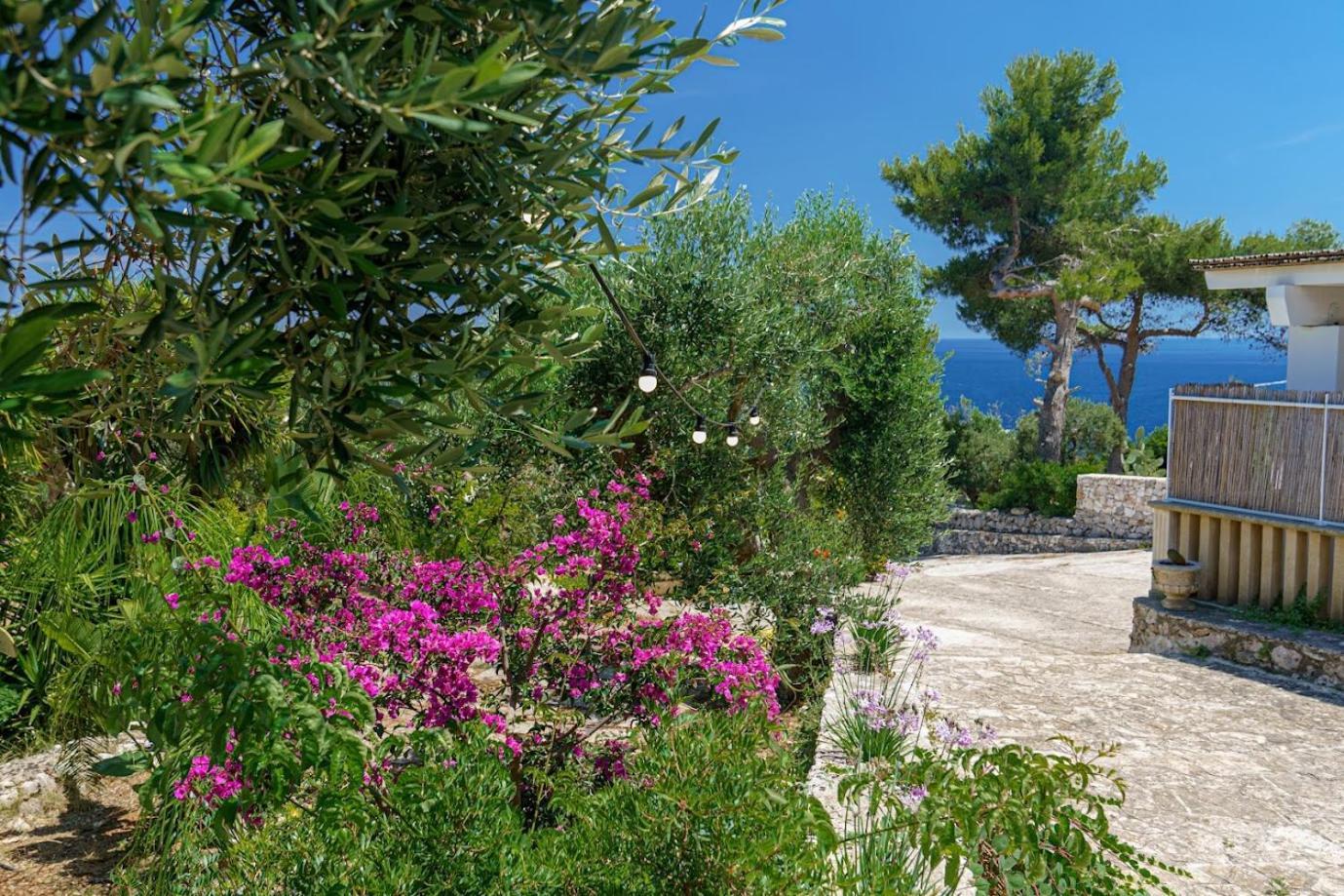 Azzurra Corsano (Apulia)